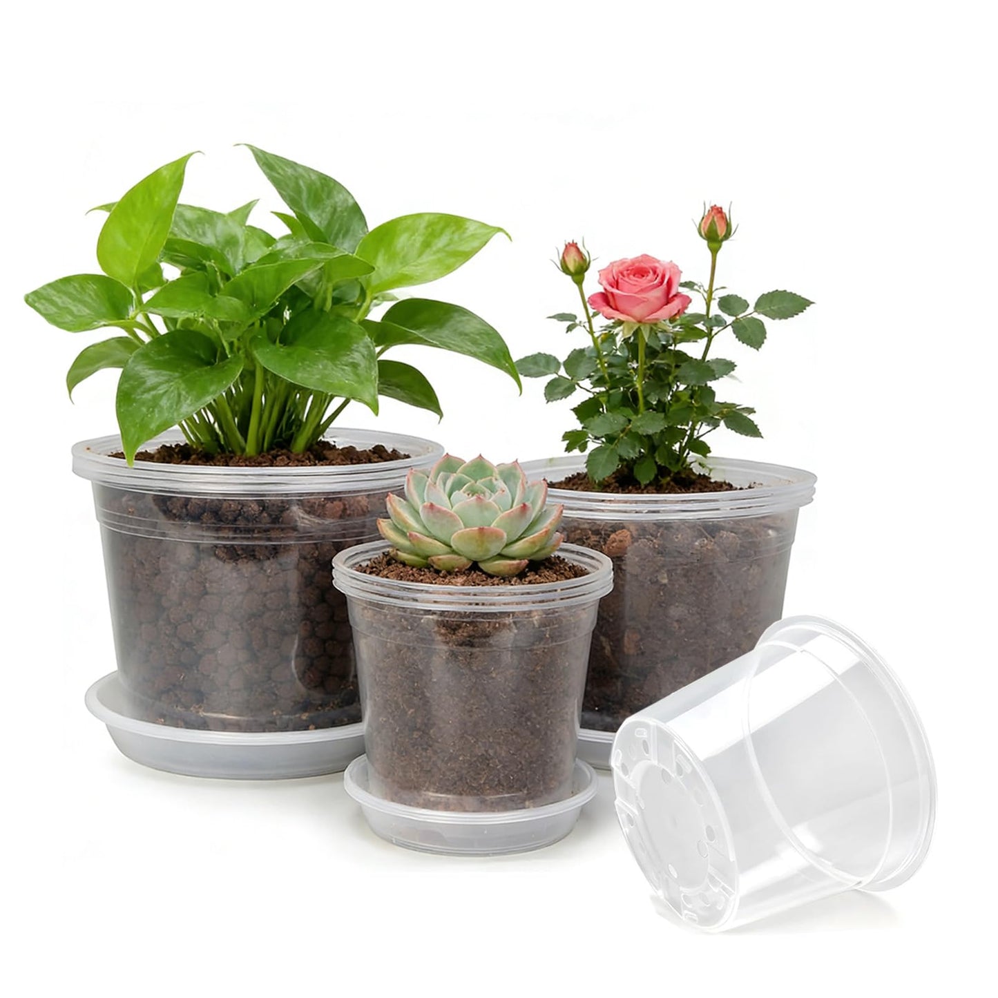 STAFANIE 7/8/10 Inch Large Clear Nursery Pots with Drainage Holes, Thick Reusable Plastic Plant Pots for Indoor Outdoor Plants, Seedlings, Succulents, Transplanting (7/8/10 inch)