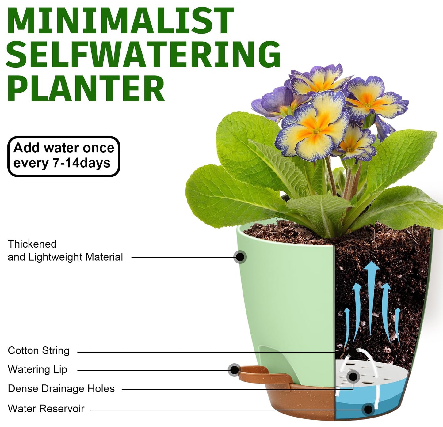 5-Pack Plant Pots with Drainage 7/6.5/6/5.5/5 Inch Self Watering Pots for Indoor Outdoor Plants, Plastic Flower Pots with Drainage Holes and Removable Saucers, Plant Pots with Wicking Rope (Green)