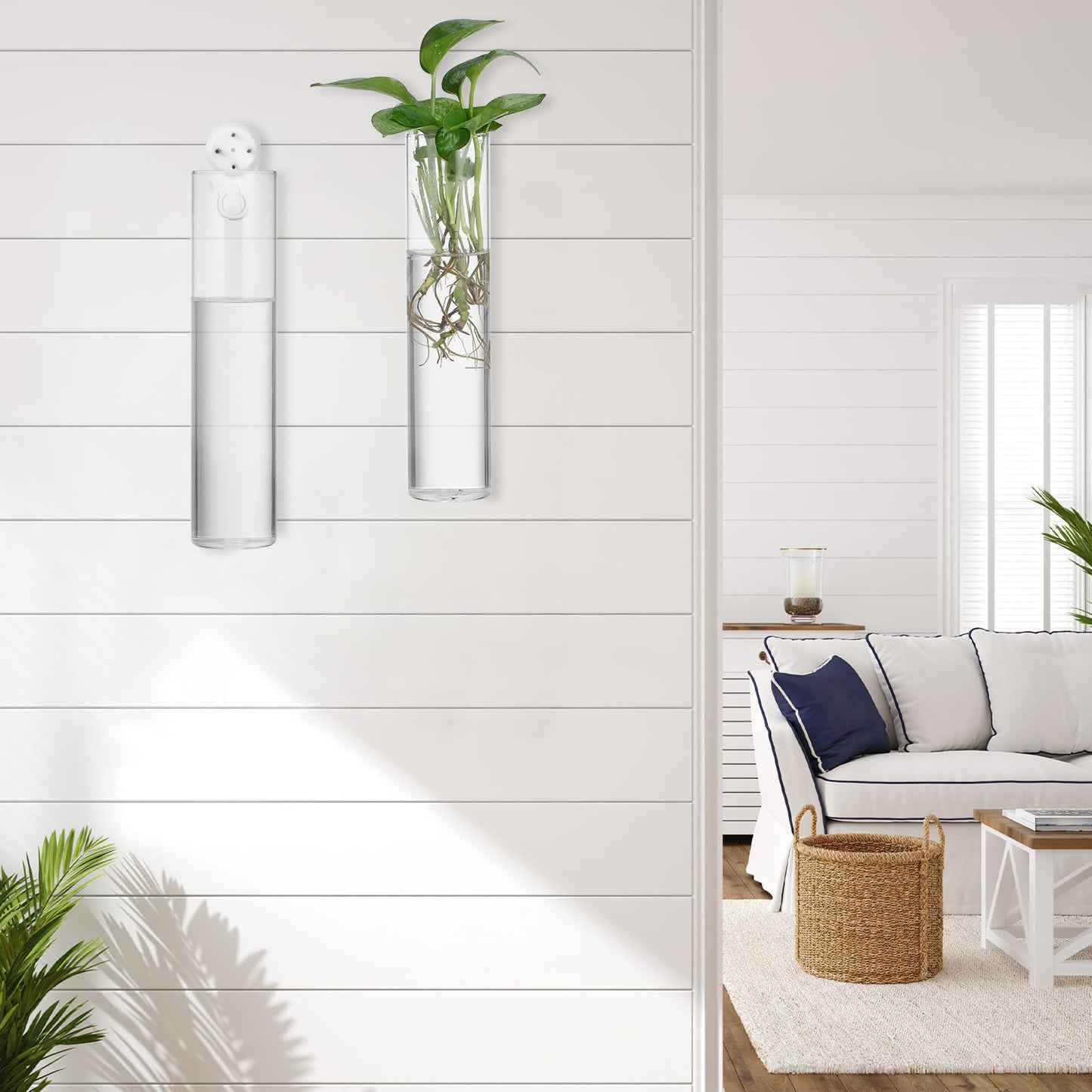 OSOLADY Wall Mounted Glass Cylinder Vases for Plants, Hanging Terrariums Water Propagation Stations, 2pcs Large Round Tube Holders for Indoor Home Décor