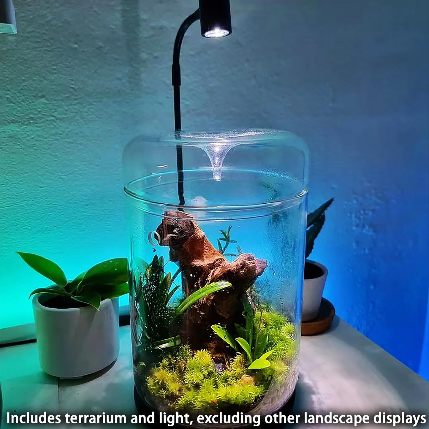 SARUFO Glass Plant Terrarium 4.7"X7" Inches Succulent Air Planter Fern Moss Micro-Landscape Vase for Home Office Tabletop Decoration Container with Lid Indoor Wardian Copyright Patent（with Light）