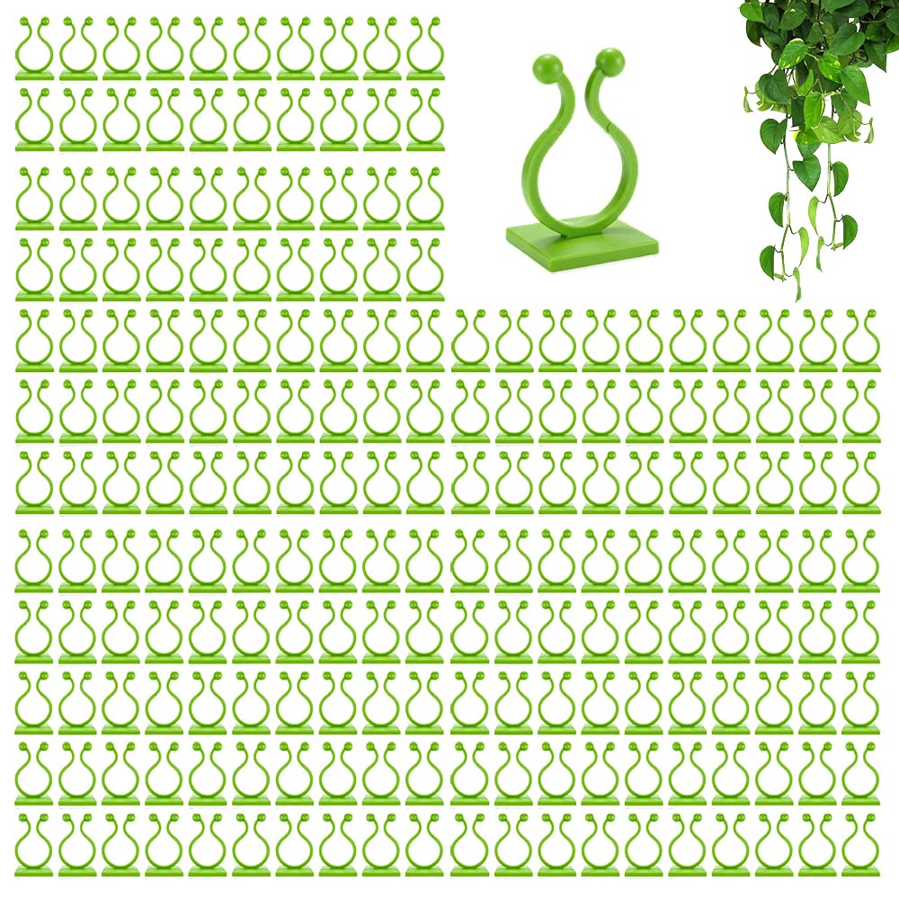 Plant Climbing Wall Fixture Clips, Plant Fixer Invisible Wall Vines Fixing Clips, Self Adhesive Vine Traction, Green Plant Fixer with Self-Adhesive Hook for Indoor Outdoor (200 Pcs)