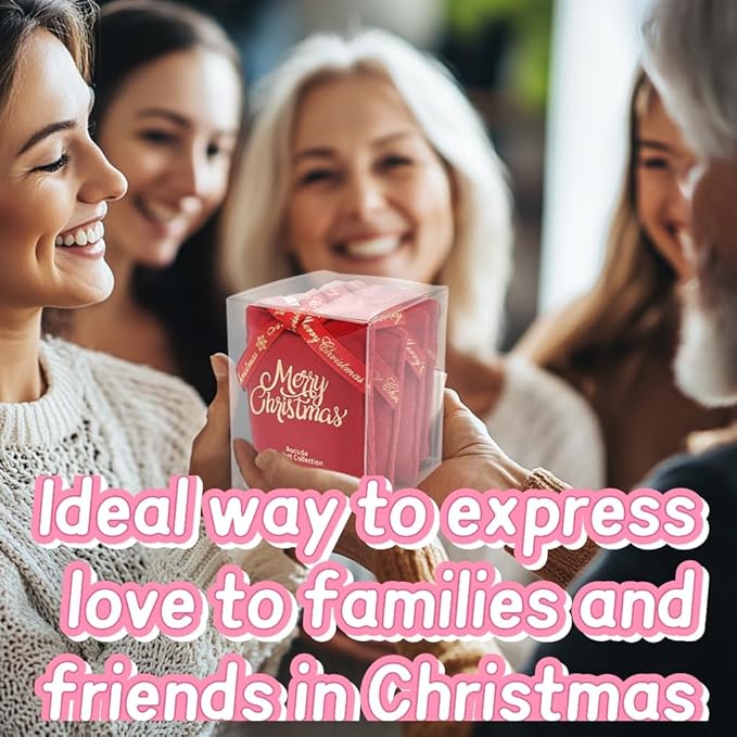 AUCUDA Merry Christmas 4pcs Sachet Bags Apple Cinnamon Scented for Drawers and Closets, Potpourri Packets for Women Outfit, Winter Red Fragrance Pillow for Bedroom Indoor, Fresheners for Wedding