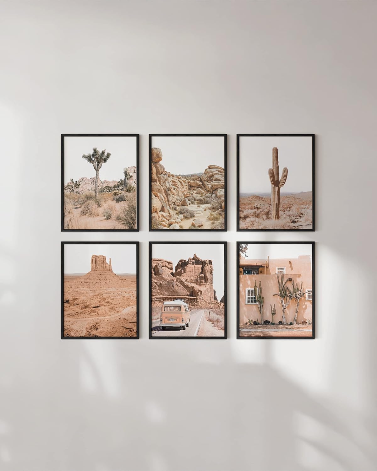 HAUS AND HUES Cactus Set of 6 16x20 - Framed Black
