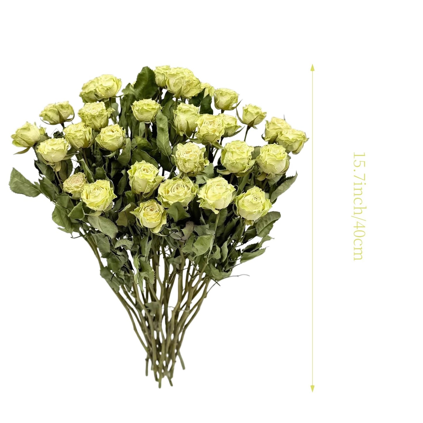 JOJAZE Natural Dried Flowers Bouquet Mini Dried Roses for Wedding Table Vase Decor Boho DIY Wreath Floral Home Office Party Garden Decoration(Twinkling Stars)
