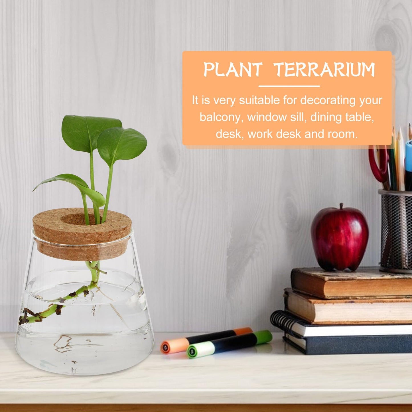 BESPORTBLE 2pcs Hydroponic Glass Vases 400ml with Cork Lid 6.5cm Opening Diameter Desktop Plant Terrariums for Hydroponics and Garden Decoration