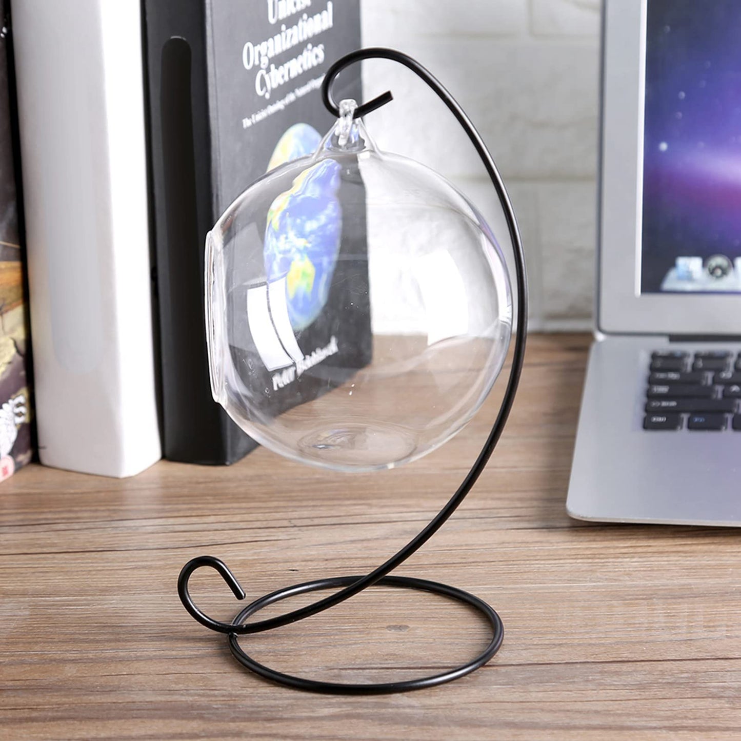 Hanging Glass Terrarium with Iron Stand, 4.7 Inch Ball Shape Planter for Succulents & Air Plants, Borosilicate Glass Planter for Indoor Plants, Hanging Terrarium Bowl for Home Desk Office Decor