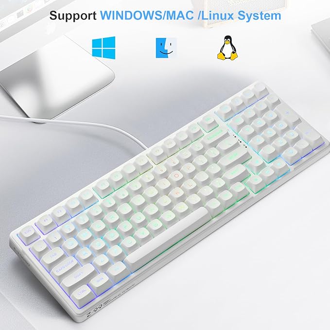 E-Yooso Creamy Mechanical Keyboard Wired, Hot Swappable, Pre-lubed Linear Switches, Gasket Structure with Sound Dampening Foam, RGB Backlit, 99 Keys Custom Gaming Keyboard for PC/Mac,White