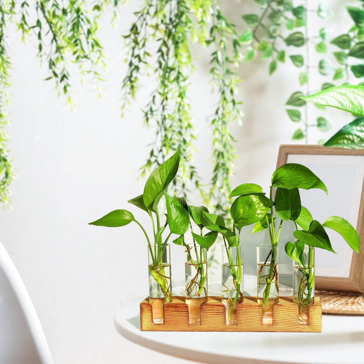 Renmxj Plant Propagation Station, Plant Terrarium with Wooden Stand, Plants Pots for Hydroponics, Small Birthday Gardening Gifts for Women Mom Plants Lovers Unique - 5 Glass Test Tubes Vases