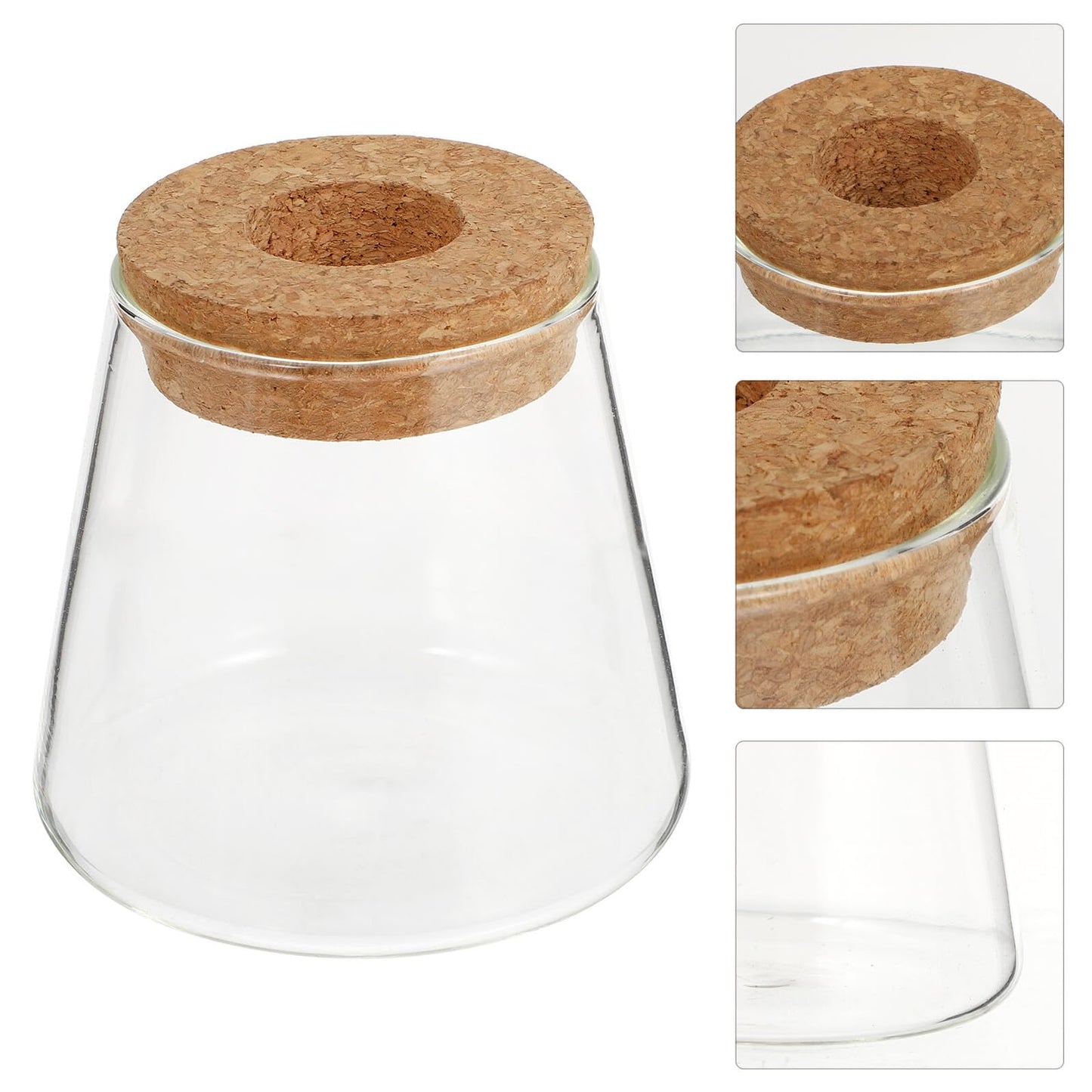 FUOYLOO Desktop Glass Vases for Hydroponics Plants, Stylish Terrarium Planter Wood Lid for Indoor and Hospitality Decor
