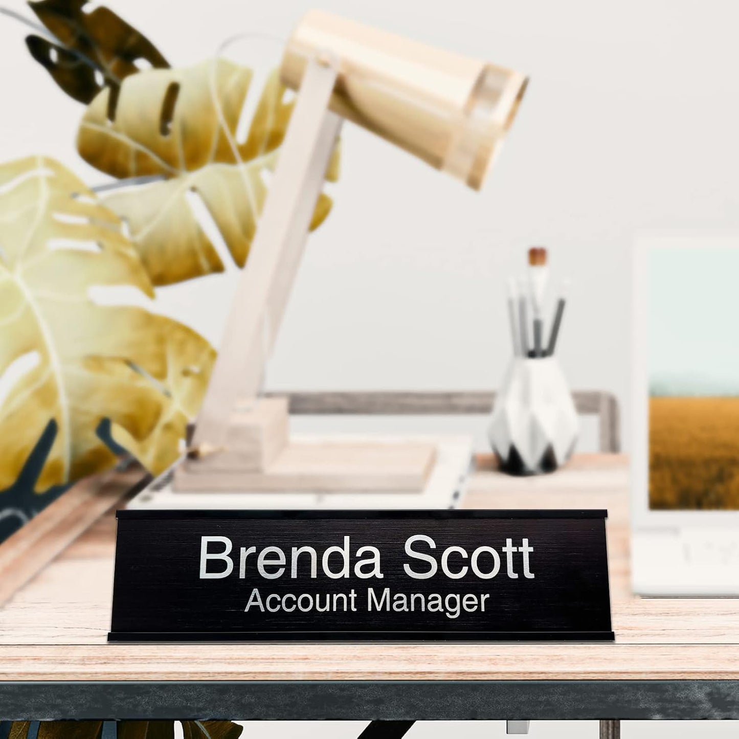 2" x 10" Personalized Aluminum Name Plates, Custom Office Desk or Wall Name Plates with Two Lines of Custom Texts, Three Name Plate Colors Silver, White, Black, Holders are Optional