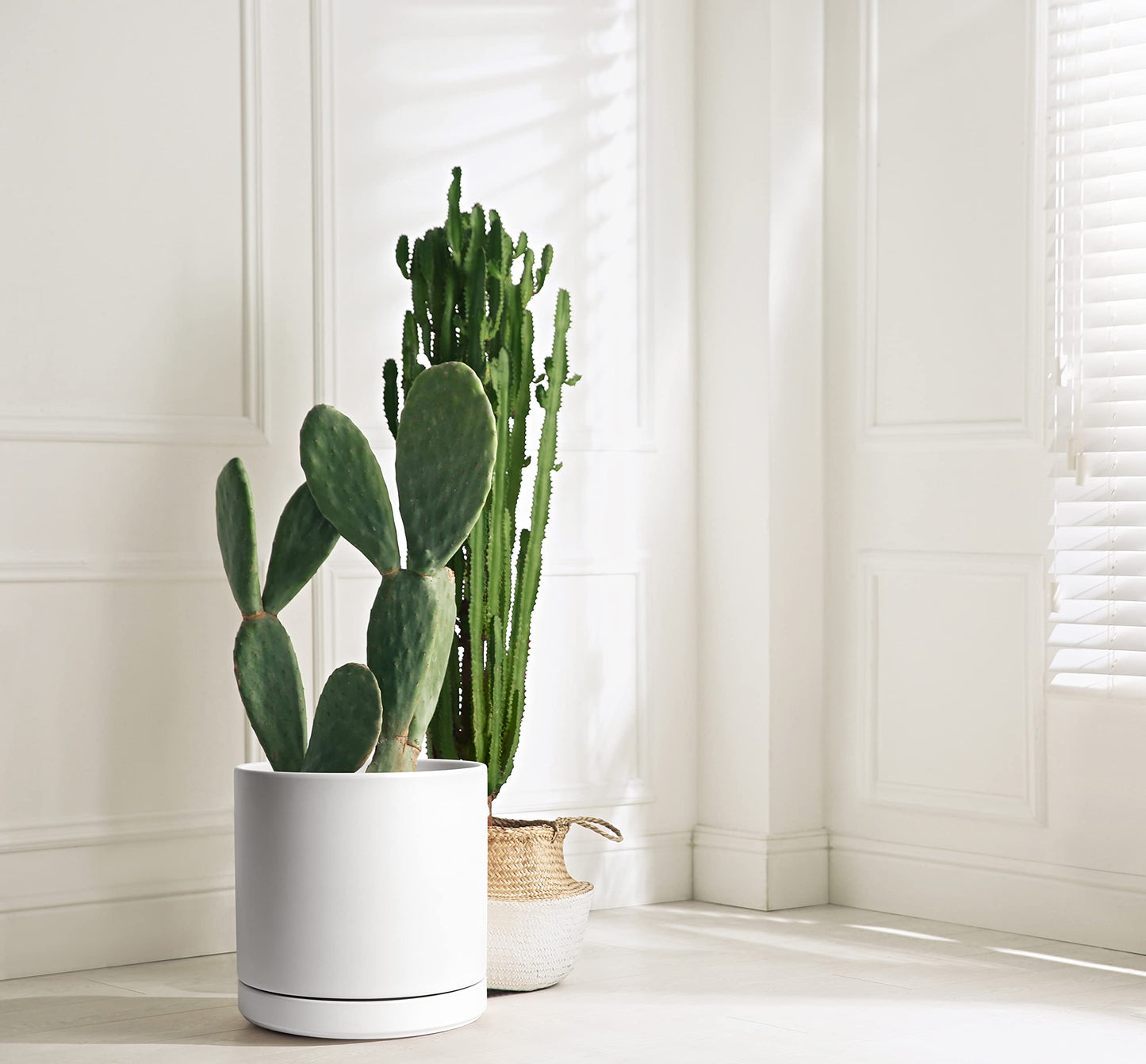 D'vine Dev 12 Inch Ceramic Planter Pot with Drainage Hole and Saucer, Indoor Cylinder Round Planter Pot, White, 94-O-F-1