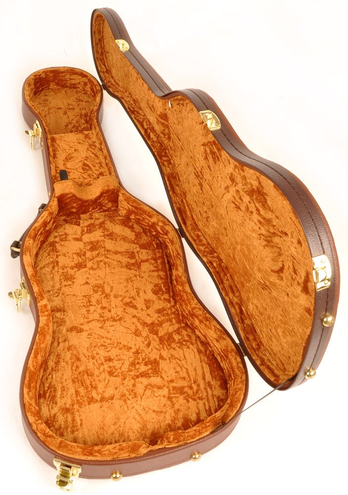 Douglas Egc-450 St Brown/Gold Guitar Case For Fender Stratocaster Telecaster Strat Tele Rickenbacker 610, 620, 660 Epiphone Coro