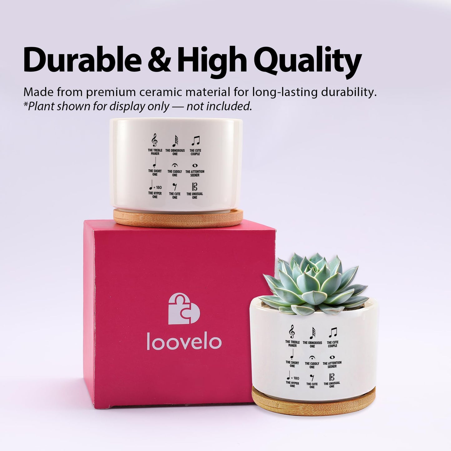 Loovelo Musical Notes Symbol Definition Musicians Gifts Music Teacher Gifts Pianist Choir Director Ceramic Succulent Plant Pot with Bamboo Tray Round Plant Lover Home Decor 3.5 Inch White (No Plants)