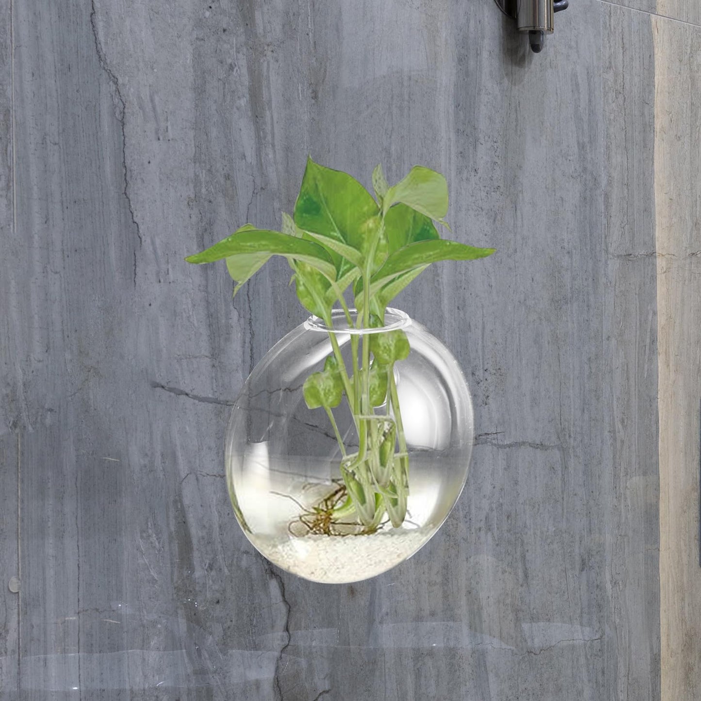 Beaupretty Wall Mounted Hydroponic Planter Vase, Glass Terrarium for Indoor Plants, Small Hanging Wall Vase for Home Décor, 1pcs