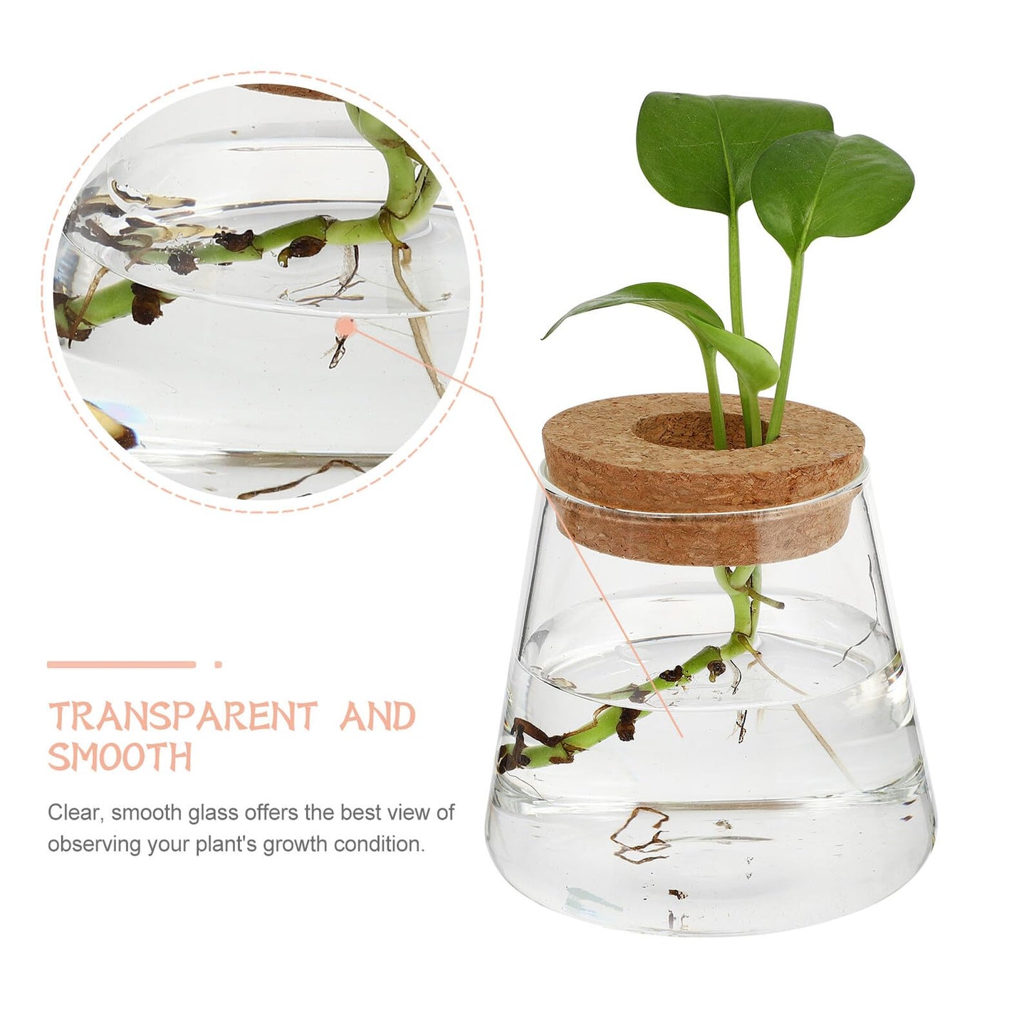 Homoyoyo 2pcs Glass Hydroponic Plants Vase Small Terrarium Flower Pots Desktop Water Planting Decoration for Home and Office