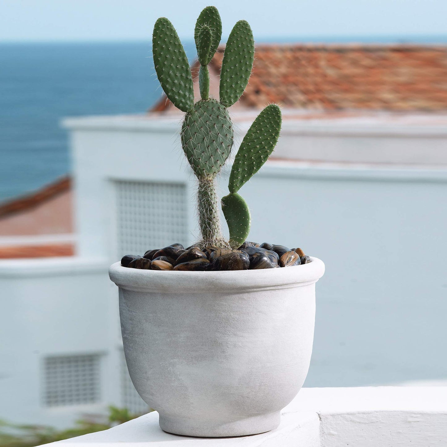 Crescent Garden Agave Planter, Classic Lightweight Resin Planter - UV-Resistant Flower Pots - Indoor & Outdoor Pot for Flowers, Houseplant, Herbs, 21" W x 17" H (Parchment)