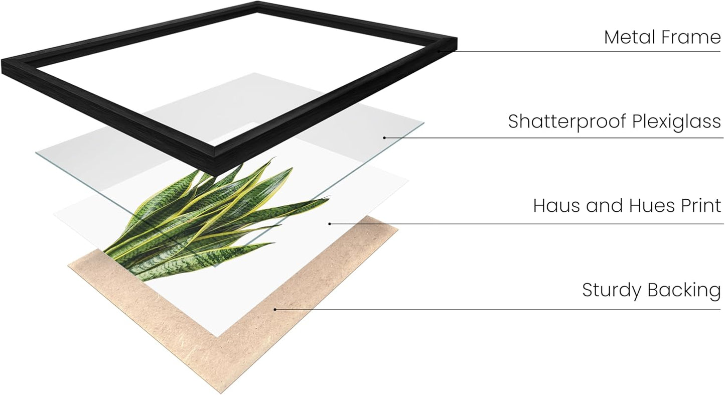 HAUS AND HUES Plant Wall Art - Set of 4 Botanical Prints, Sage Green Leaves Paintings, Minimalist Wall Art (Black Aluminum Frame, 11x14)