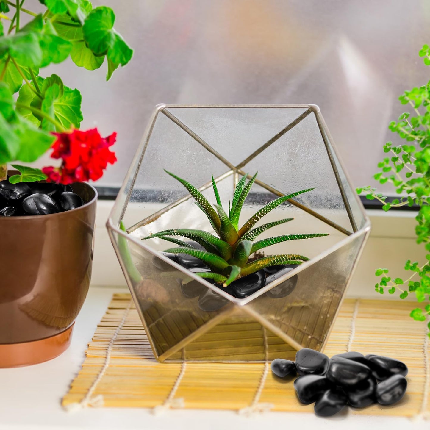 SOUJOY 15LBS Black River Rock, 1-2 Inch Pebbles for Plants, Natural Polished Decorative Stone for Landscaping Outdoor, Flower Bed Fish Tank Gravel Garden Home Decor