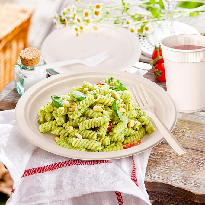 Gezond Compostable Paper Plates Set 250pcs Disposable Sugarcane Plates Utensils Eco-Friendly Plate, Cutlery, Napkins, Straws and Cups for Party 25 People