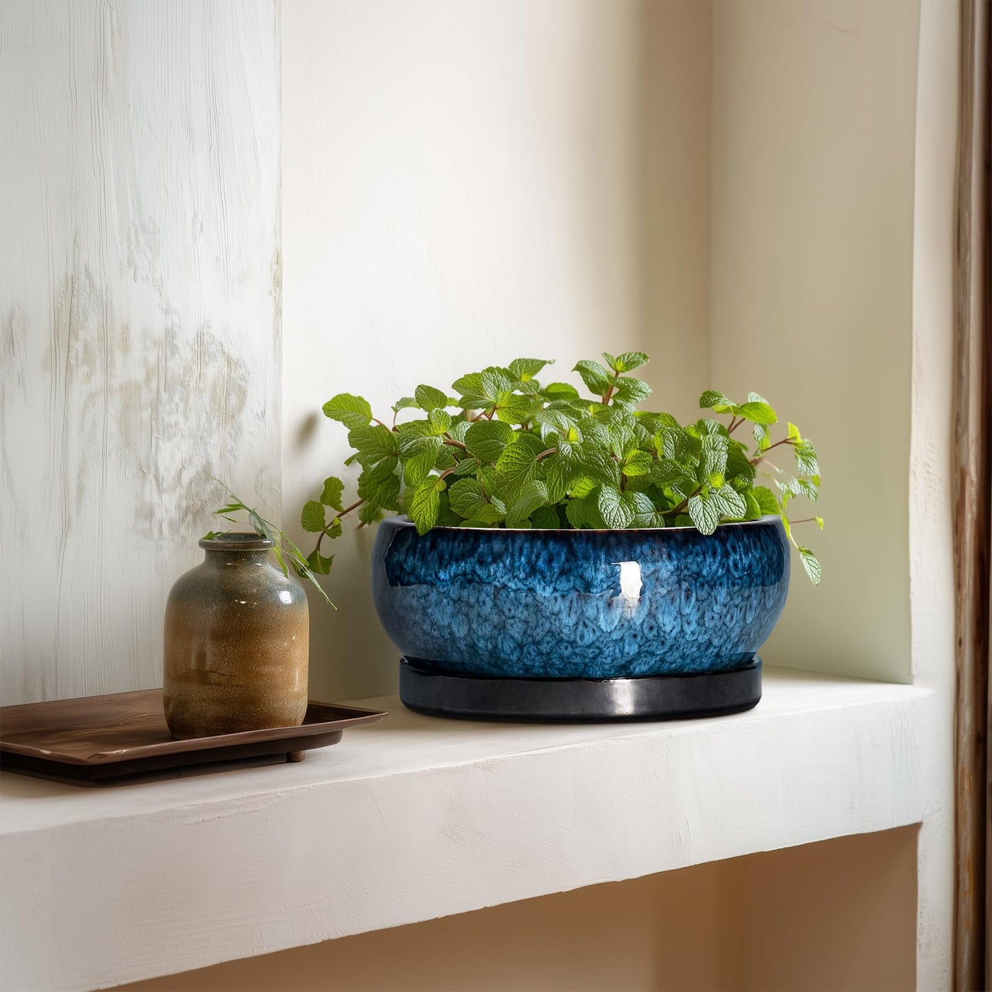 EPFamily Bonsai Pots 8 Inch - Ceramic Succulent Planter for Indoor Outdoor, Round Bonsai Planter with Drainage Hole and Saucer, Shallow Ceramic Planters Bowl, Patio Decor, Housewarming Gift, Blue