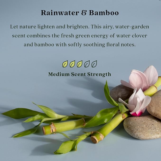 Enviroscent Non-Toxic Air Freshener for Home (Rainwater & Bamboo) Essential Oil Diffuser | Air Freshener & Room Freshener | Home Fragrance Last Over 30 Days | 8 Scent Stix Refills