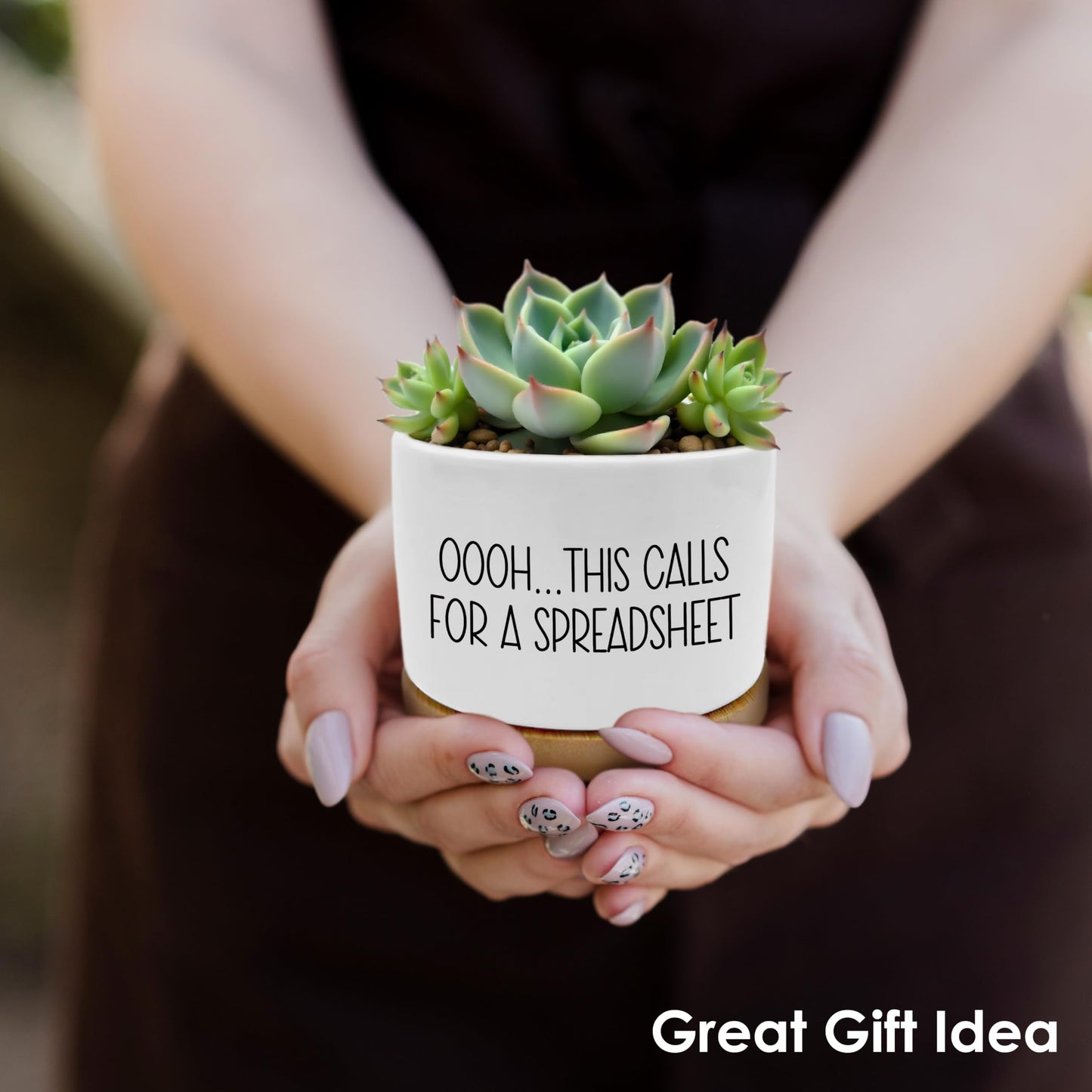 ROXMART Funny Office Gifts Plant Pots, Sarcastic Gifts for Coworkers Succulent Planters, This Calls for a Spreadsheet Ceramic Plant Flower Pots for Home Office Desk Table Shelf(No Plants)