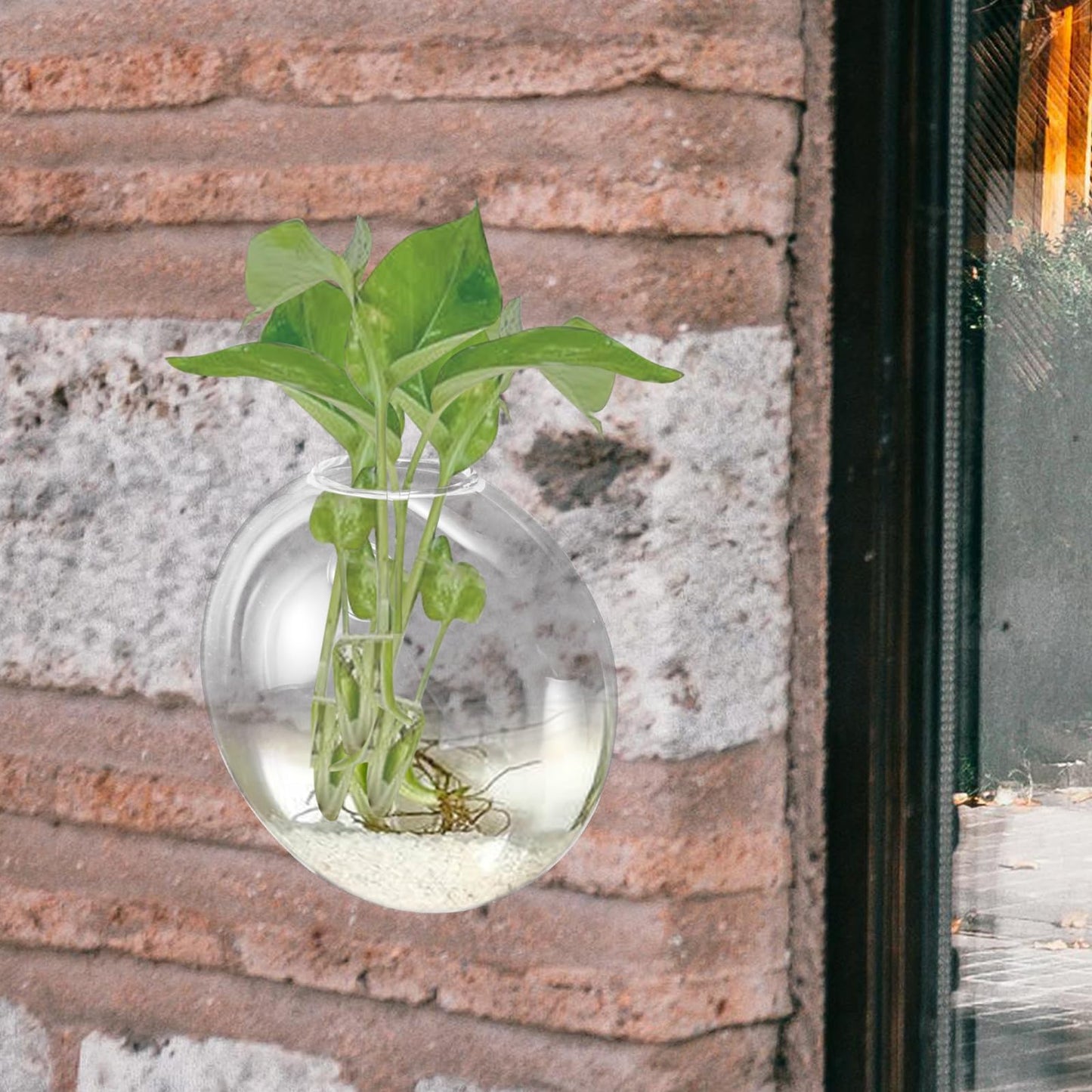 GRADENEVE Wall Hanging Glass Terrarium Planter Vase Hydroponic Flower Holder Glass Plant Bottle Decorative Home Décor for Indoor Use,