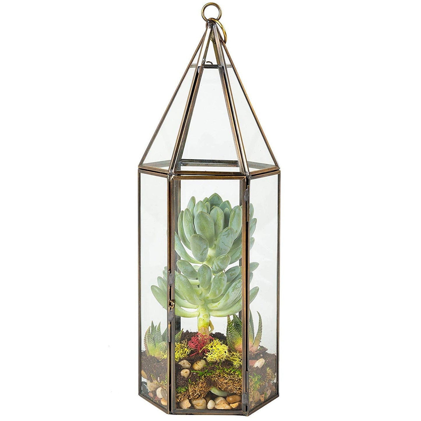 D'Eco Glass Geometric Plant Terrarium (5x5x14) - Indoor Tabletop Bronze Tall Hexagon Planter - Succulents, Air Plants, Moss - Home Garden Office Decor - Great Holiday (Terrarium Only)