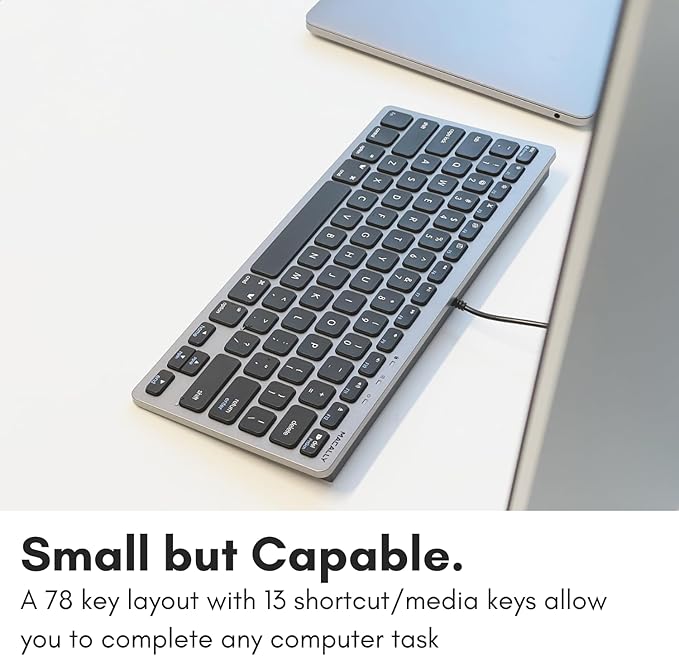 Macally Small USB C Keyboard - Plug & Play Compatible Wired Apple Keyboard for Mac mini, MacBook Pro/Air, iMac, iPad, Windows, Chromebook with USBC Port - Compact & Mini USB Type C - Space Gray