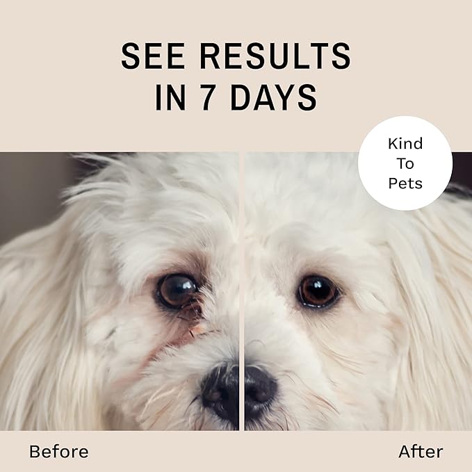 Eye Envy Tear Stain Wipes for Dogs. Textured to Gently Clean. Presoaked in 100% Natural Formula. Recommended by AKC Breeders, Vets, Groomers. Treats The Cause of Staining. USA Made. 60 Dog Eye Wipes