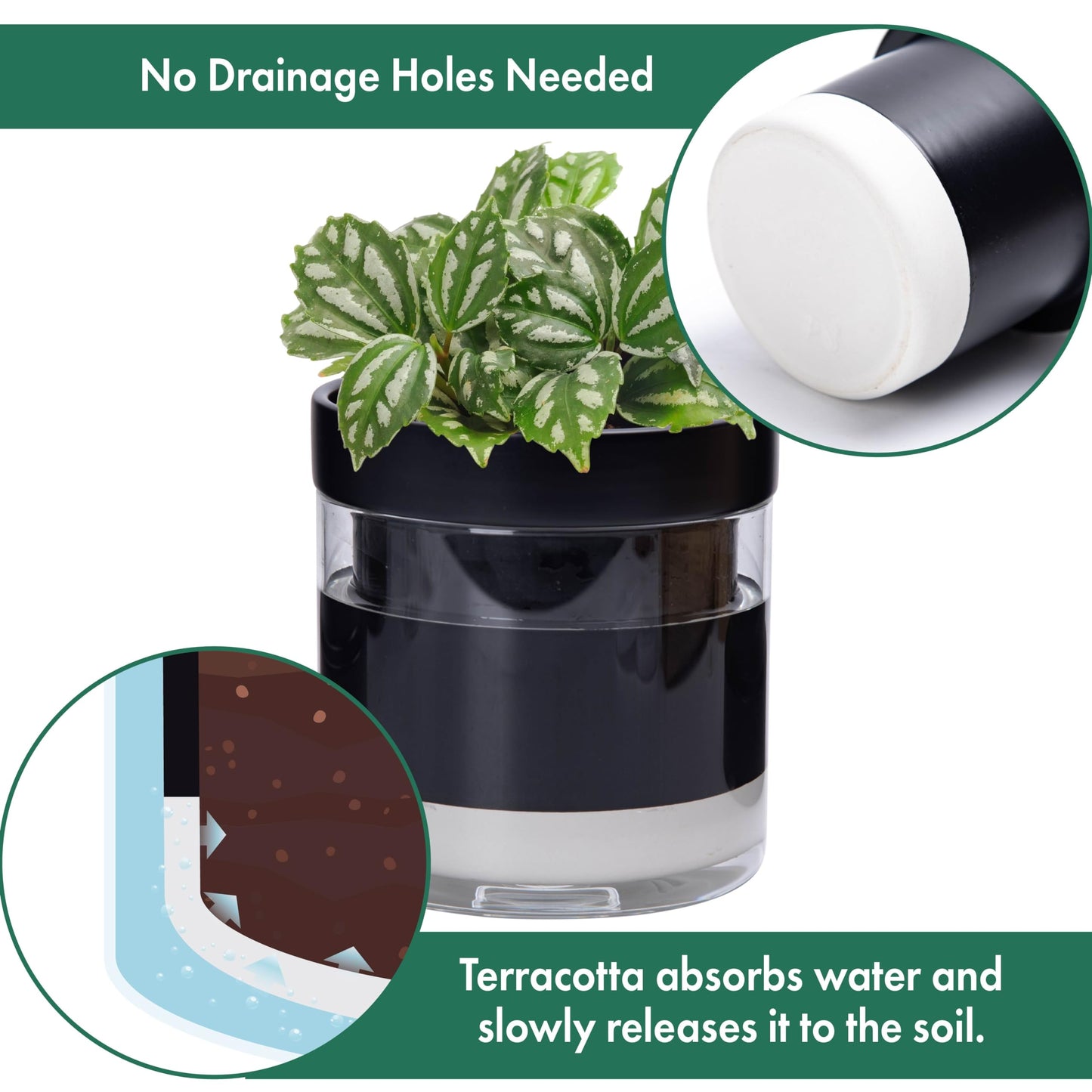 Phoenix Vine 6 Inch Self Watering Terracotta Planter, Black Terracotta Clay Pot with Glass Reservoir for Indoor Plants, Herbs, Flowers, Set of 1, 52-C-F-1