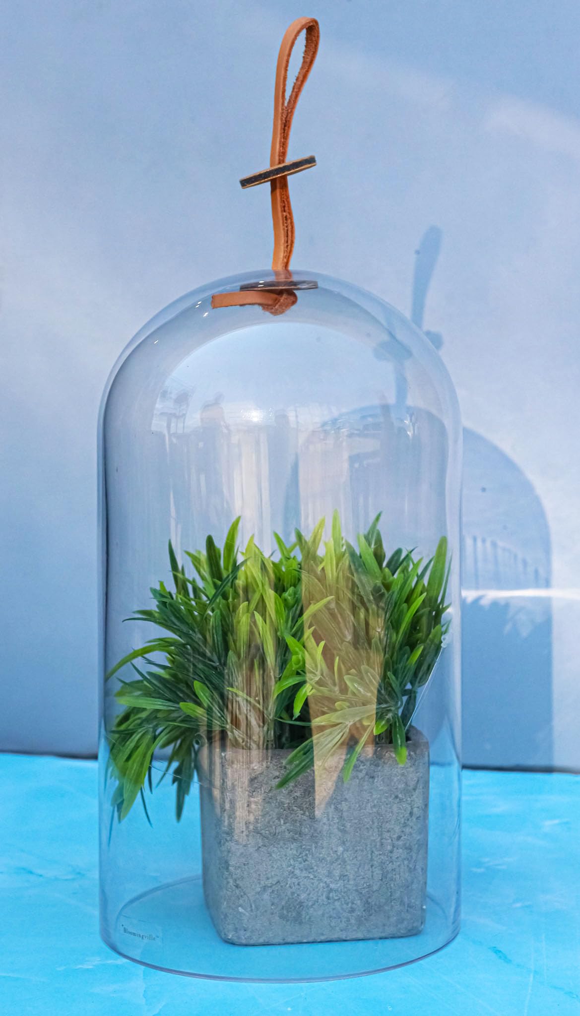 Ebros Gift Large 9.75" High Decorative Sleek Clear Glass Apothecary Cloche Bell Jar Centerpiece Dome Mouth Blown Glass Display Terrarium Case For Displaying Succulents Plants Sculpture Decors