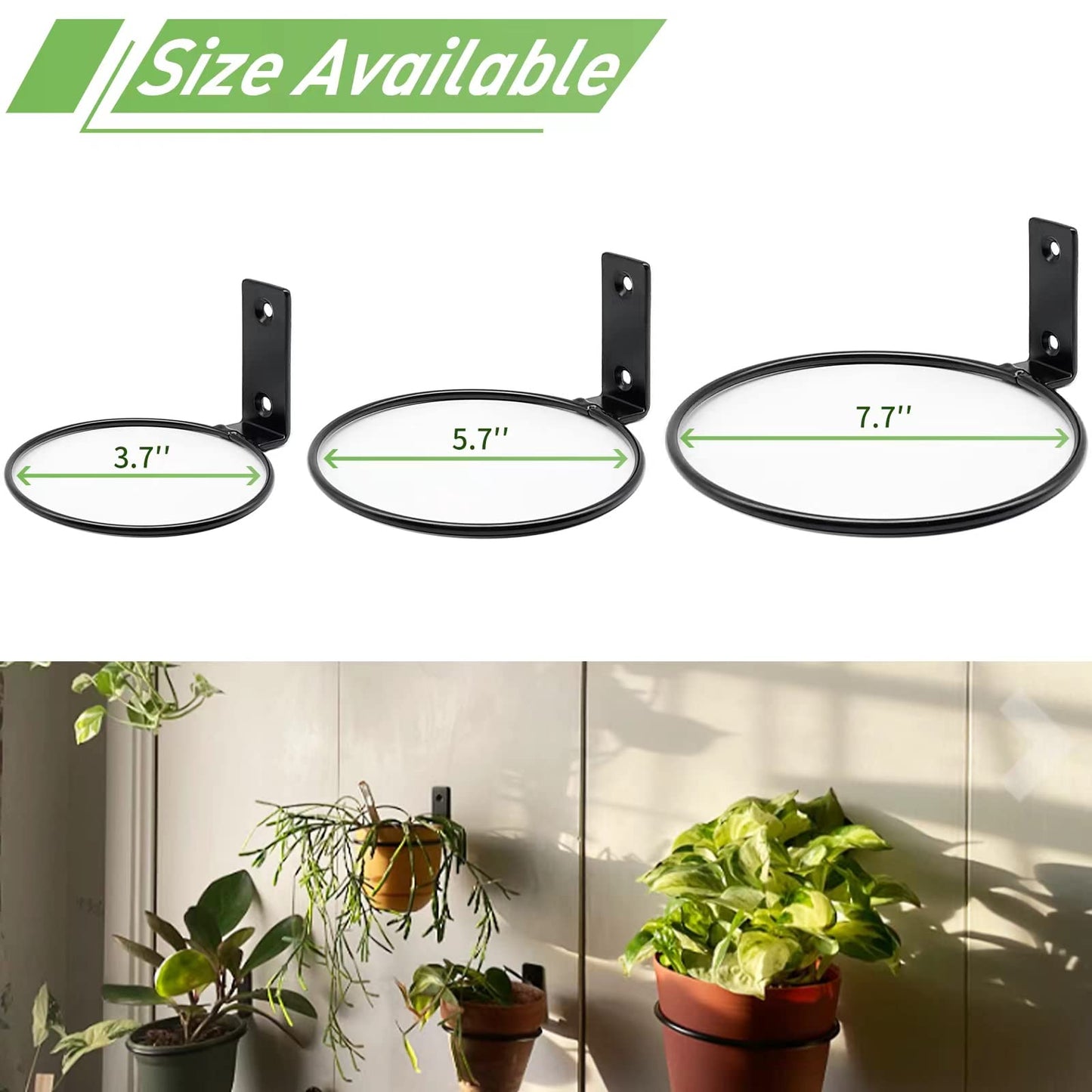 Greemov 6 Pack 8 Inch Wall Flower Pot Holder Ring Plant Hanger, Metal Planter Hooks Wall Mounted Bracket Heavy Duty for Outdoor Indoor