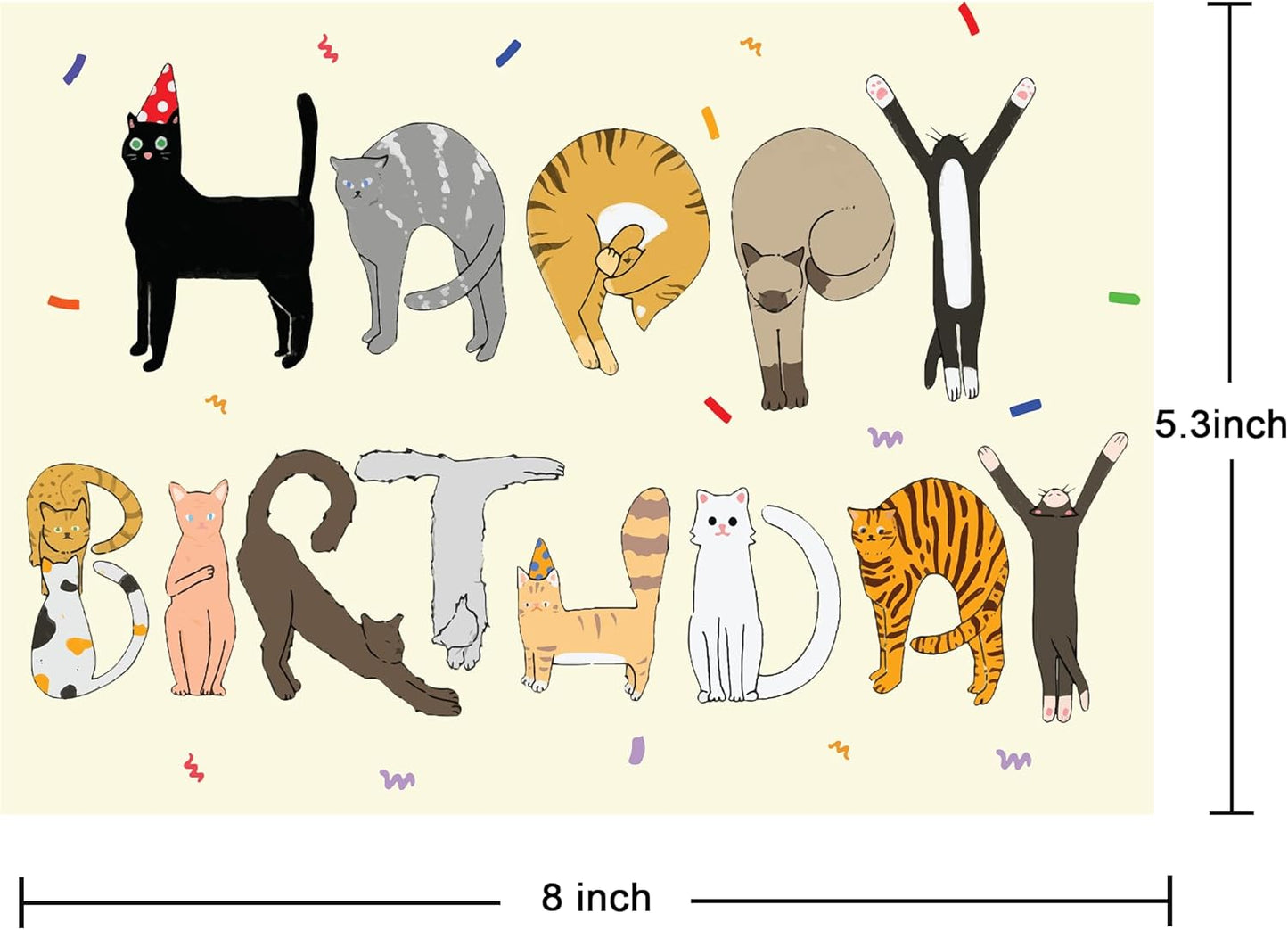 Cheerin Happy Birthday Card for Him or Her - Funny Birthday Card - Humourous Greeting Card - Cat Birthday Card for Cat Lovers Men Women