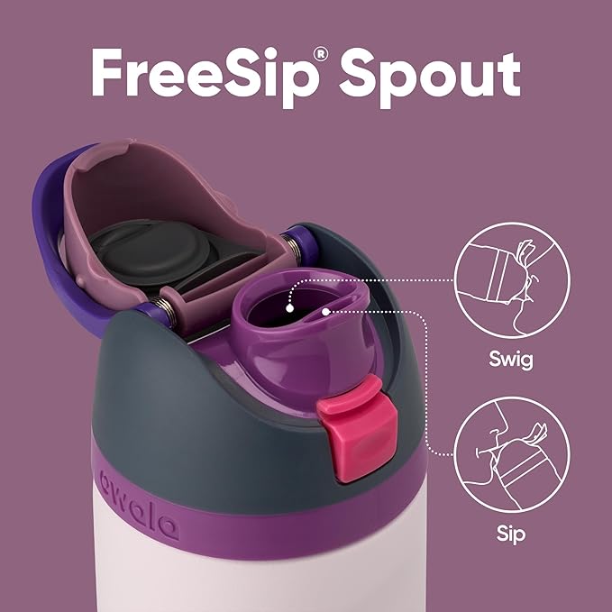 Owala FreeSip Insulated Stainless Steel Water Bottle with Straw for Sports, Travel, and School BPA-Free Sports Water Bottle, 24 oz, Dreamy Field