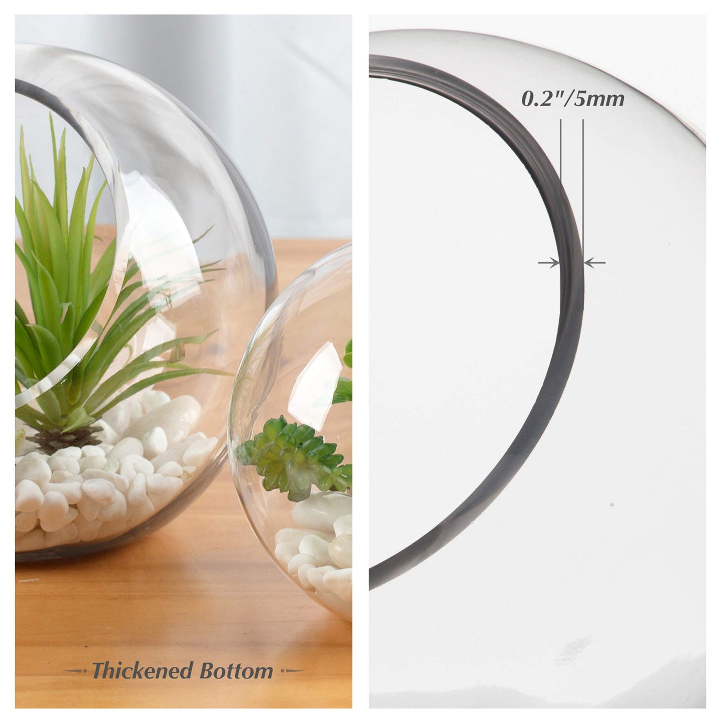WGV Slant Cut Bowl Glass Vase, Width 5.5", Height 5.5", Clear Round Globe Planter Terrarium Orb, Candy Dish, Fruit Jar, Floral Container for Home Office Decor, 1 Piece