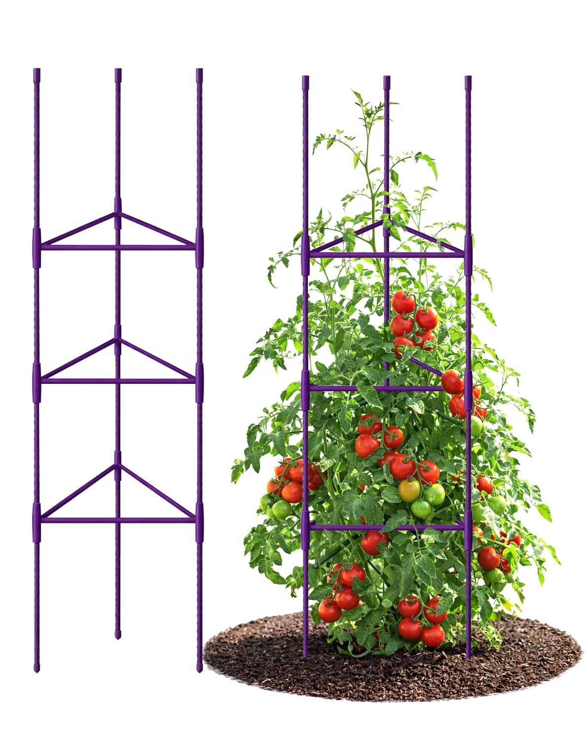 Growsun 51 inch Tomato Cage Heavy-Duty Plant Support Cucumber & Vine Vegetables – Adjustable Purple Metal Garden Trellis for Climbing Plants, Indoor & Outdoor Use, 6 Pack