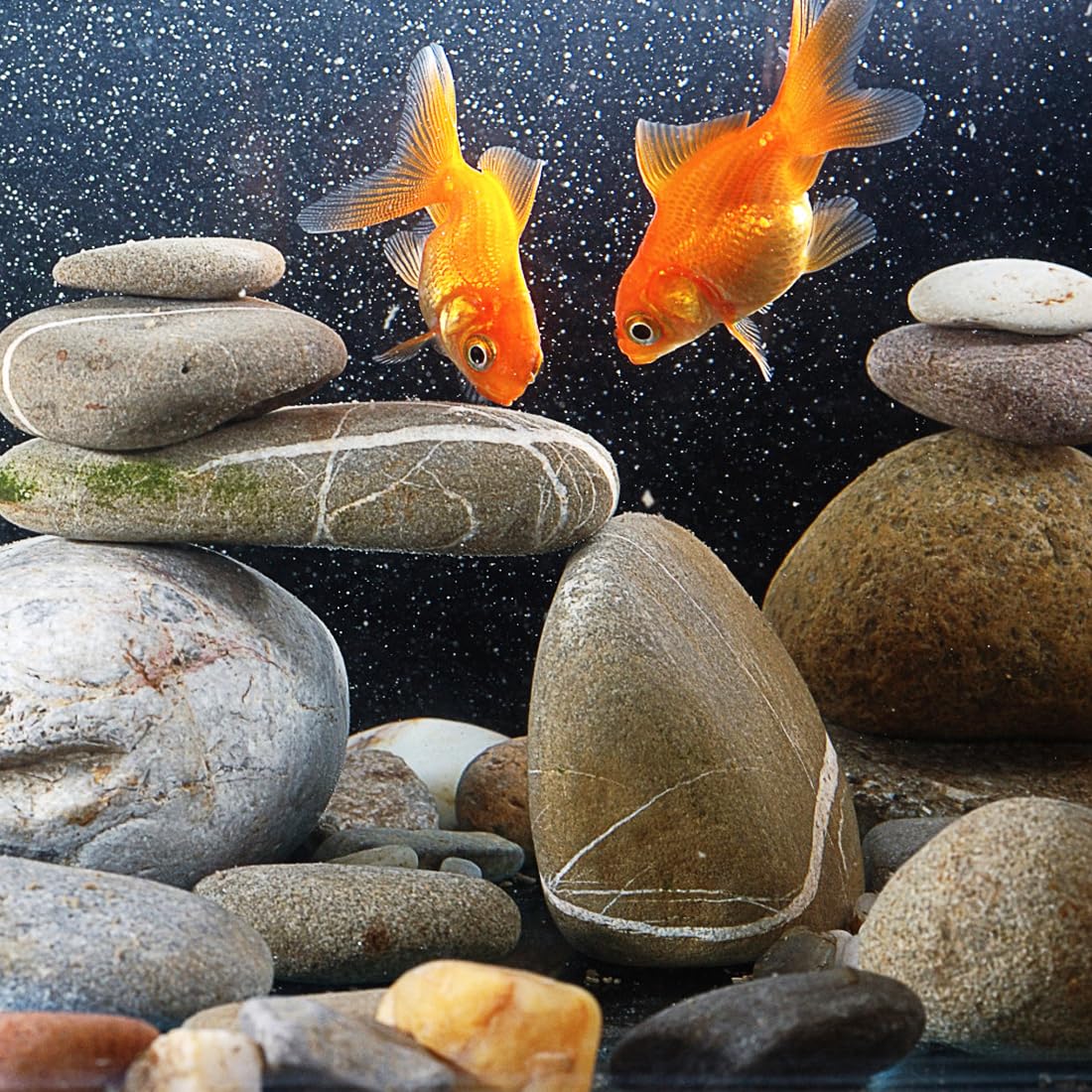 YISZM 40lbs Natural River Rocks, 3"-4" Premium Pebbles for Garden and Landscape Design, Hand-Picked Smooth Stones for Fish Tank, Flower Pots, Indoor Water Fountains, Pathways, Backyard