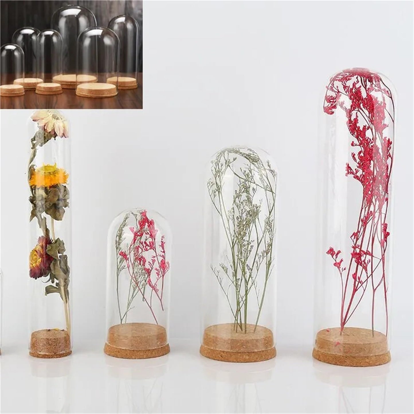 10X Da30mm Glass Bottle Terrarium Jar Cork Base Dome Dust Cover DIY Specimen Succulent Plant Micro Landscape Flower Vase Display(30x70cm)