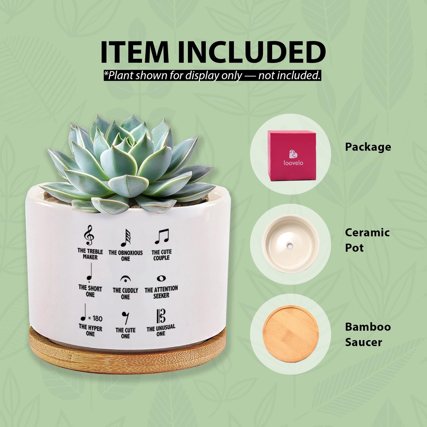 Loovelo Musical Notes Symbol Definition Musicians Gifts Music Teacher Gifts Pianist Choir Director Ceramic Succulent Plant Pot with Bamboo Tray Round Plant Lover Home Decor 3.5 Inch White (No Plants)