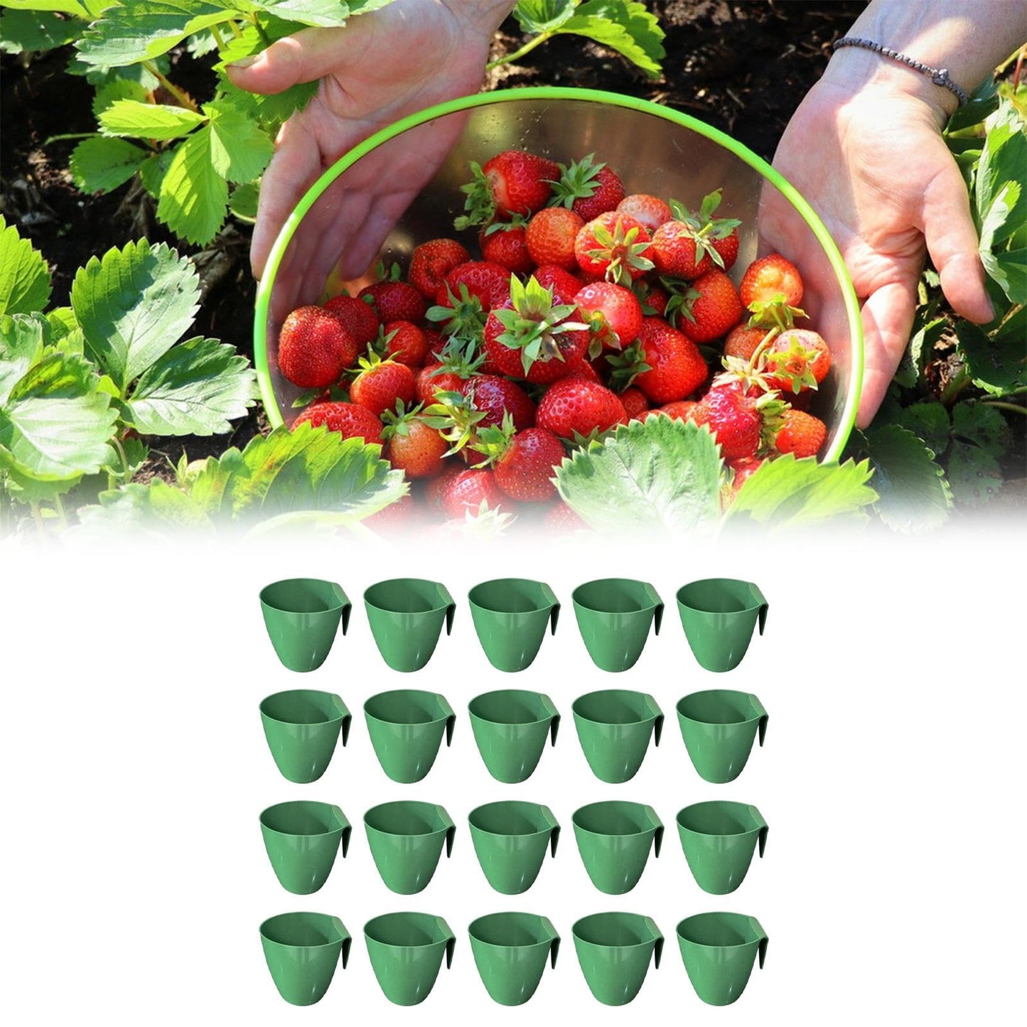 FashionCha 20 Pieces Plant Propagation Cup Strawberry Roots Nursery Pot Bare Root Strawberry Plants Cultivation Tools Fast Transplanting Stem, Size L