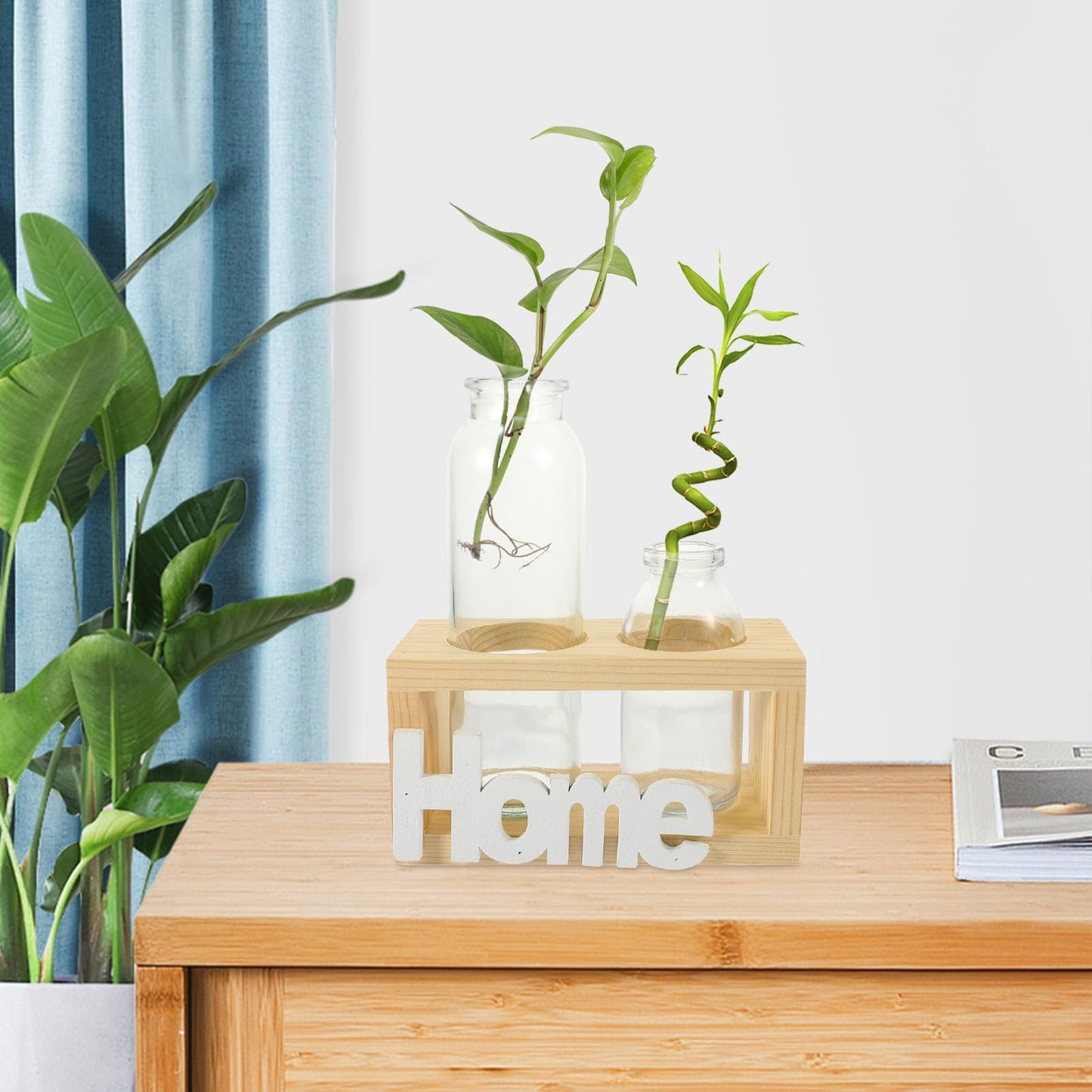 PRETYZOOM Glass Vase with Wooden Stand, Hydroponic Plant Terrarium Planter for Indoor Home Décor, Nordic Style Tabletop Glass Planter Set with 2 Vases for Water Propagation