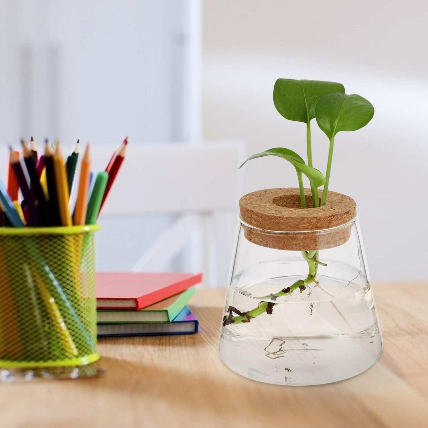 FUOYLOO Desktop Glass Vases for Hydroponics Plants, Stylish Terrarium Planter Wood Lid for Indoor and Hospitality Decor
