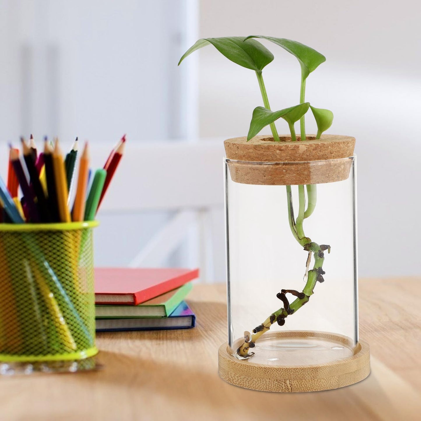 SHINEOFI 2pcs Glass Hydroponic Plant Vase Set with Stand, Desktop Glass Containers for Home and Office Garden Decoration, 6.5x10cm Eco Terrarium Bottles for Water Propagation