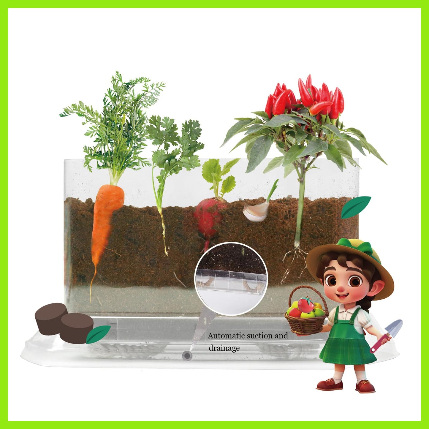 WKLOUYHE Root Viewer Kit for Kids – STEM Science Toy & Craft Growing Kits for Ages 6 7 8 9 10 Birthday Easter Gifts for Boys & Girls,Kids Gardening Set, DIY Toy