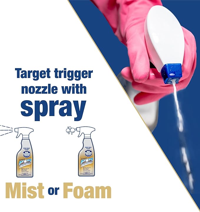 Bar Keepers Friend MORE Spray + Foam Multipurpose Cleaner (2 x 25.4 oz) & Dish Fish Dual Sponge for Bathroom, Kitchen & Outdoor Use on Stainless Steel, Aluminum, Brass, Tile, Ceramic, Porcelain & More