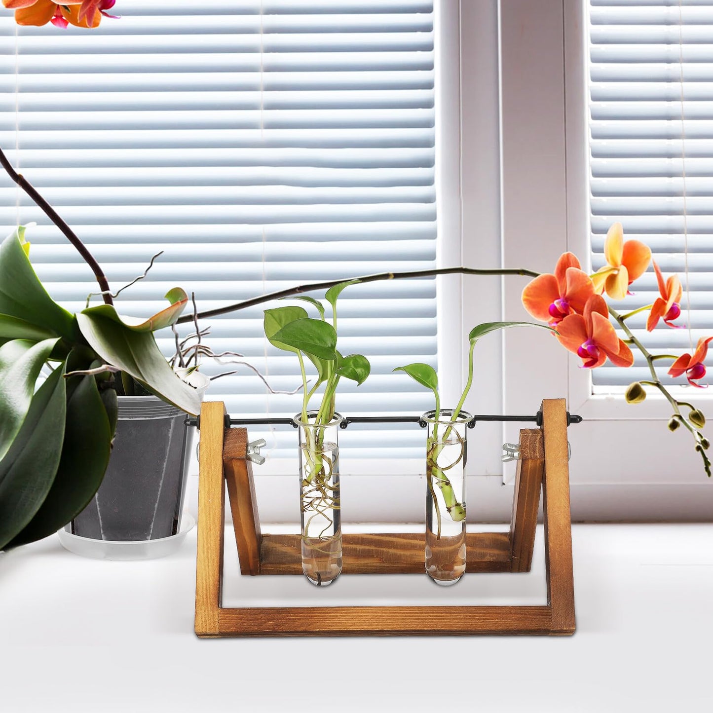 TOYANDONA 5pcs Glass Propagation Tubes for Plants Small Hydroponic Test Tube Vases for Flowers Home Decoration Plant Terrarium Station 2.5x3x11cm