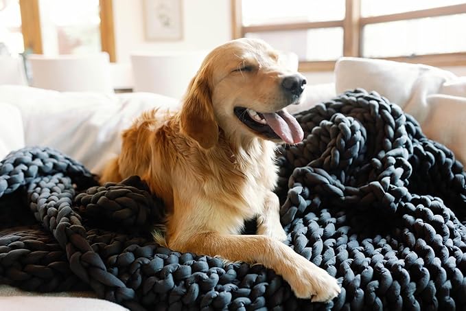 Nuzzie Chunky Knit Weighted Blanket - Breathable, Cooling, Hand Made Knit Throw Blanket for Sleep - Machine Washable, Stylish Design (Forest Green, Full | 16lbs | 48"x72")