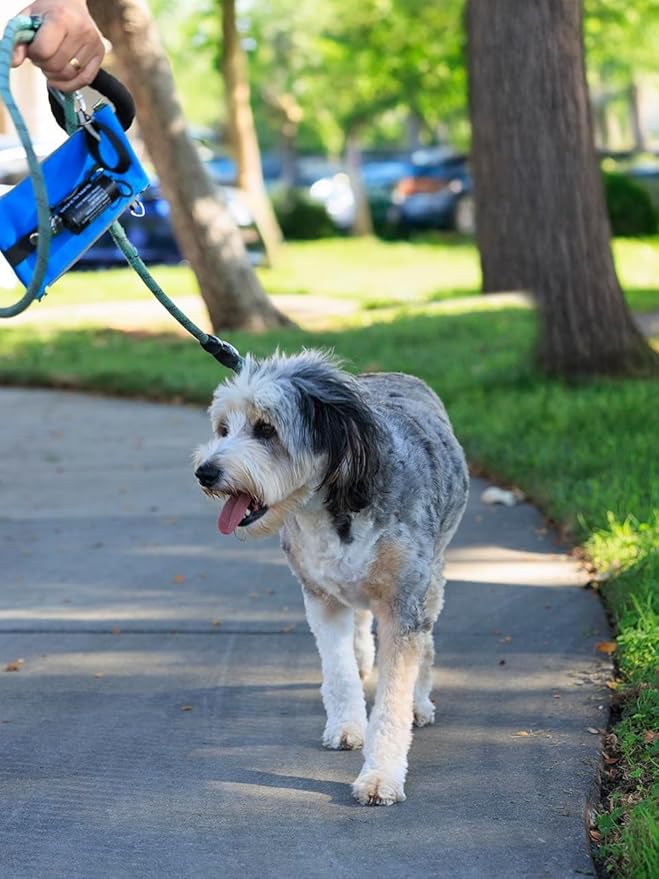 Poop Bag Holders for Leashes with Dog Poop Bags Rolls Biodegradable - Puppy Essentials & Litter Supplies - Durable Dispenser & Leak-Proof Pet Bags, Walking Parks Doggy Accessories Boy Girl Rose Tail