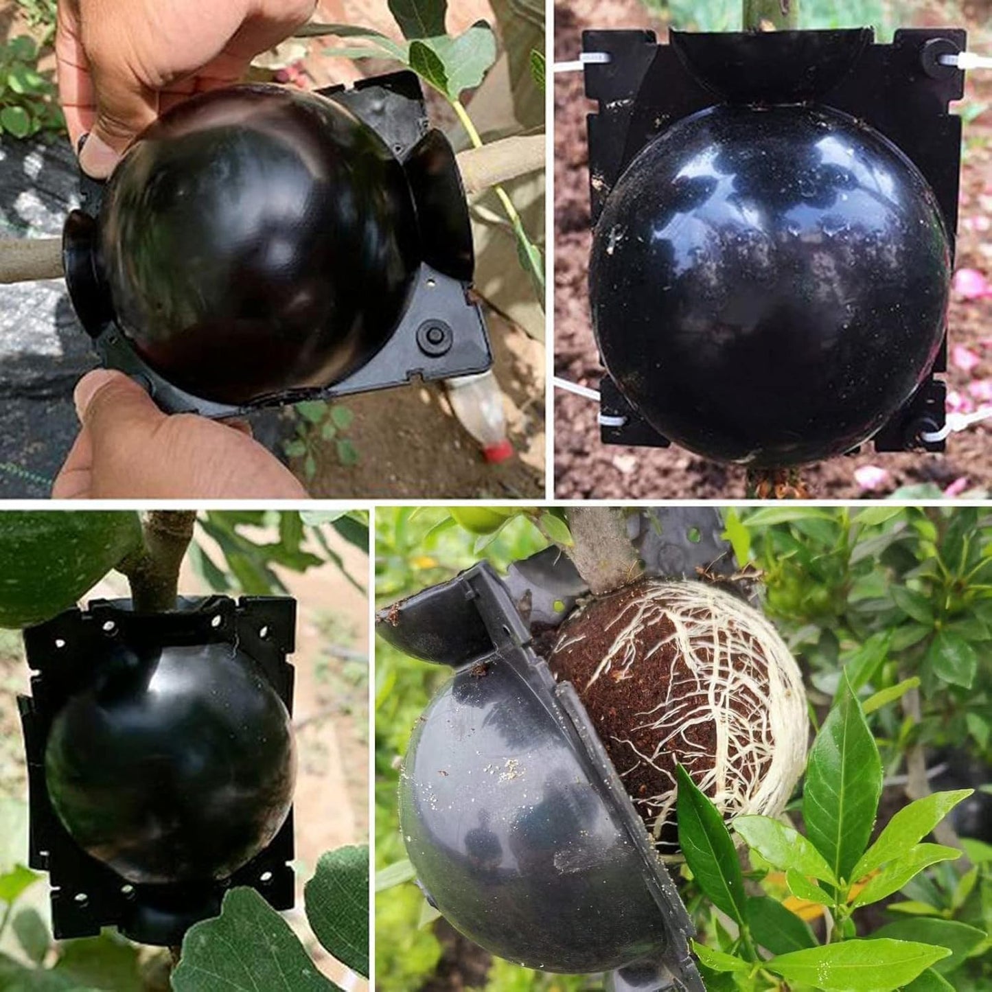 10 PCS Plant Propagation Stations Air Layering Pods, Reusable Rapid Root Plugs Air Layering Propagation Kit Grafting Kit Plant Propagation Ball Root Starter for Plants Cuttings Take Root